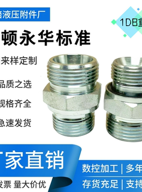 重型卡套H型24°锥外丝过度直通液压配件永华标准接头1DB-24-08WD