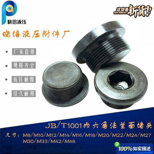 高压法兰面内六角公制螺纹丝堵
