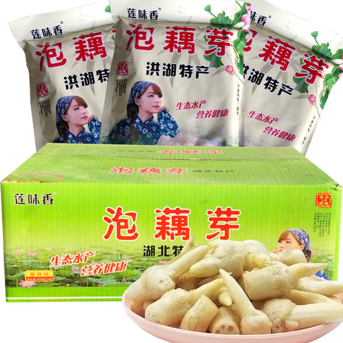 洪湖酸辣泡藕芽商用藕尖