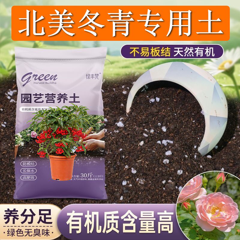 北美冬青适用泥炭土保水锁肥保水保肥育苗大包优质绿叶观叶木本