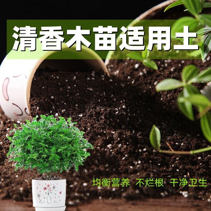 清香木适用土种花土养花营养土通用型有机土种菜土多肉种植土