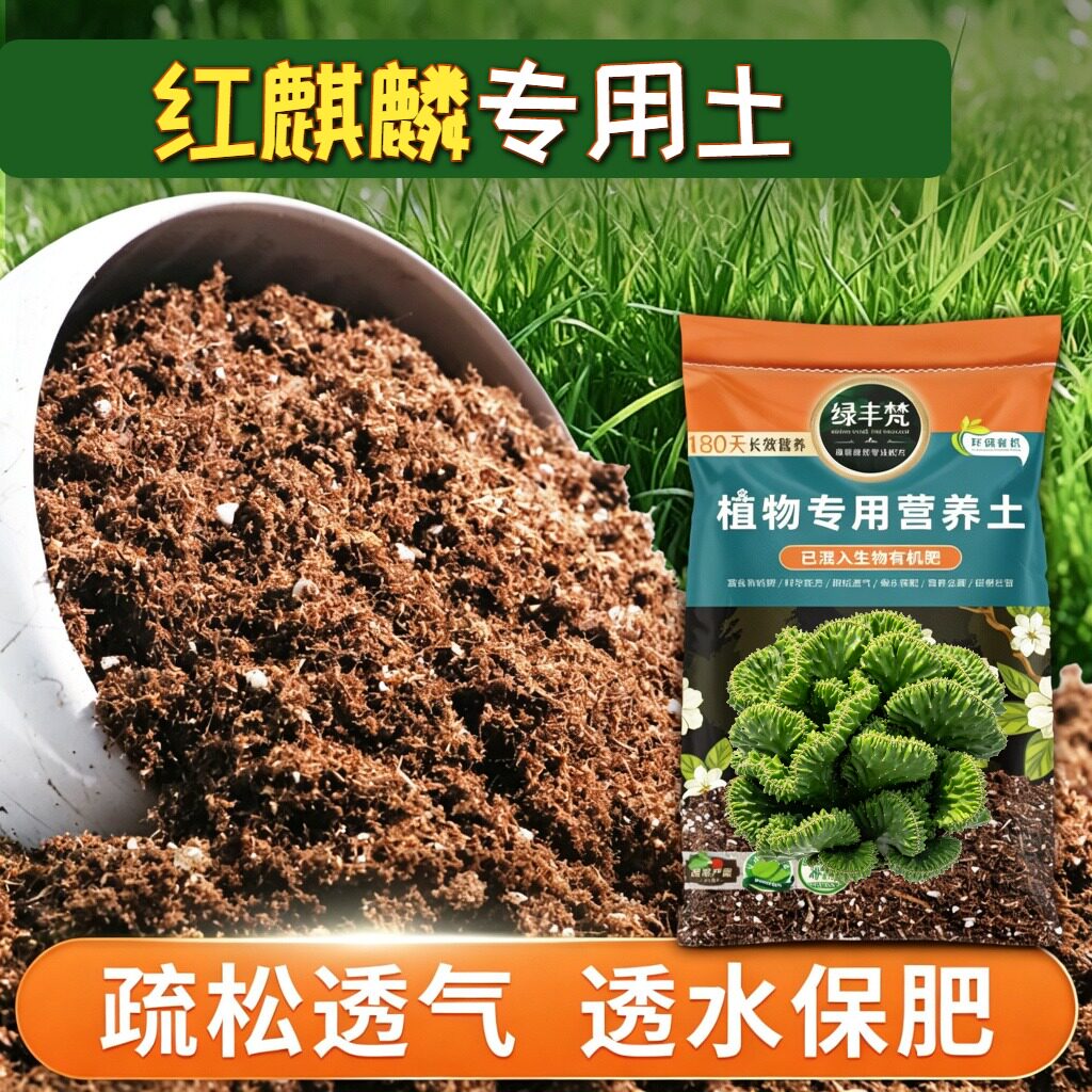 红麒麟专用土壤干湿循环好绿植盆栽土洁净基质调节土质实惠装多肉