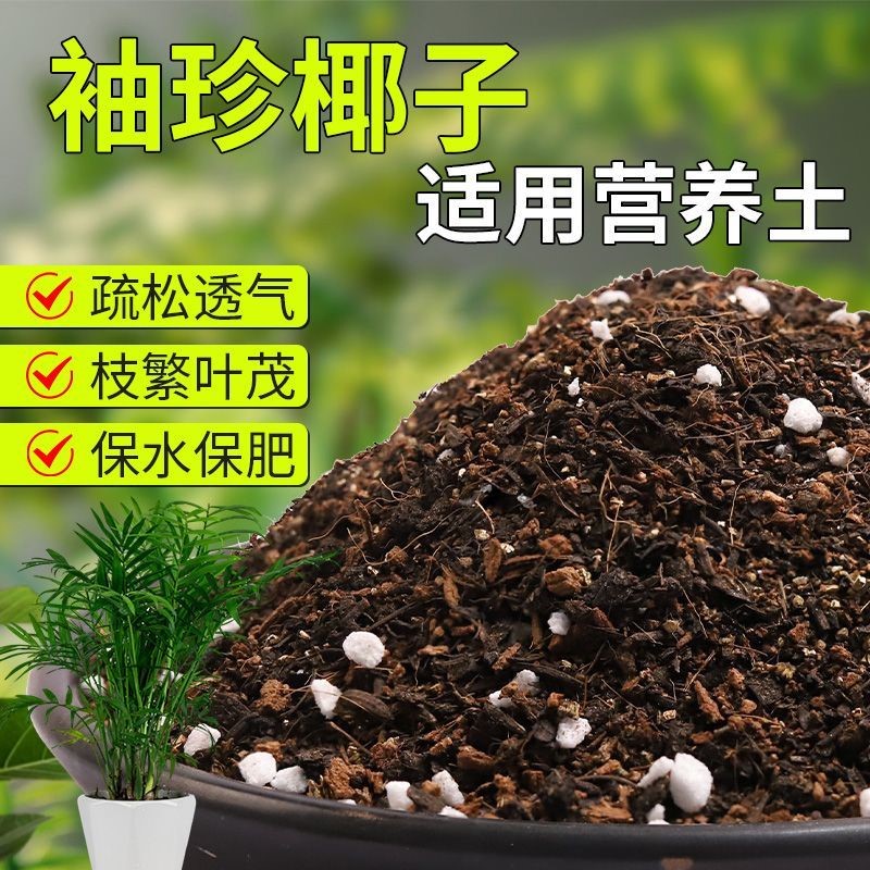袖珍椰子专用种植土轻质有机土干湿循环好促开花营养土精选观花