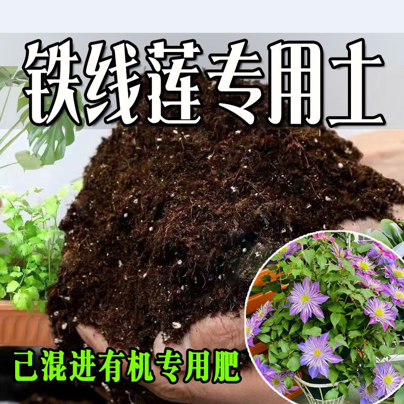 铁线莲专用土 铁线莲专用营养土 盆栽养花种花土通用种植土壤肥料