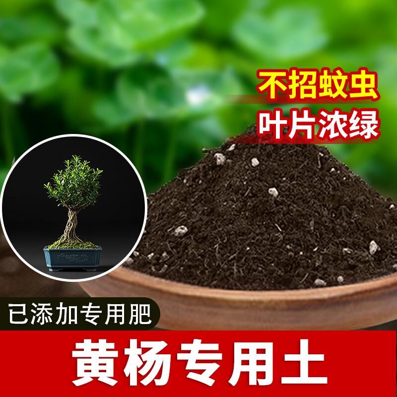 黄杨盆景专用土黄杨盆景专用营养土种菜土有机土盆栽土壤蓬松家庭