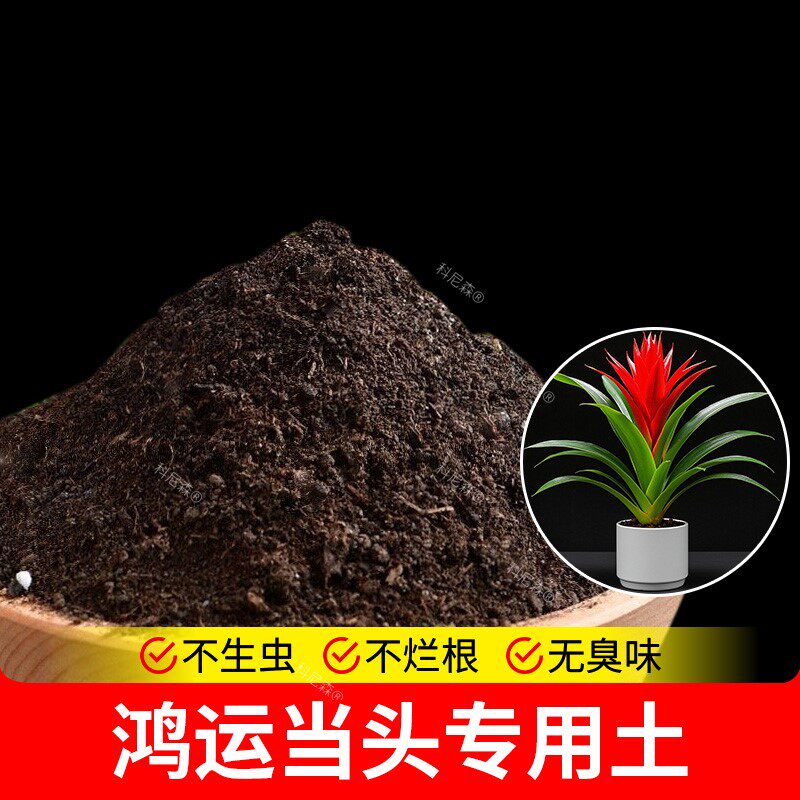鸿运当头专用土通用型花盆养花专用营养土花卉土壤家庭家用盆栽土