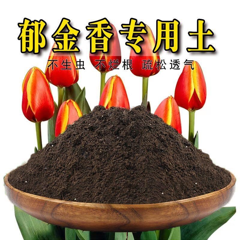 郁金香专用土郁金香专用营养土盆栽绿植土养花土壤种植土有机肥料