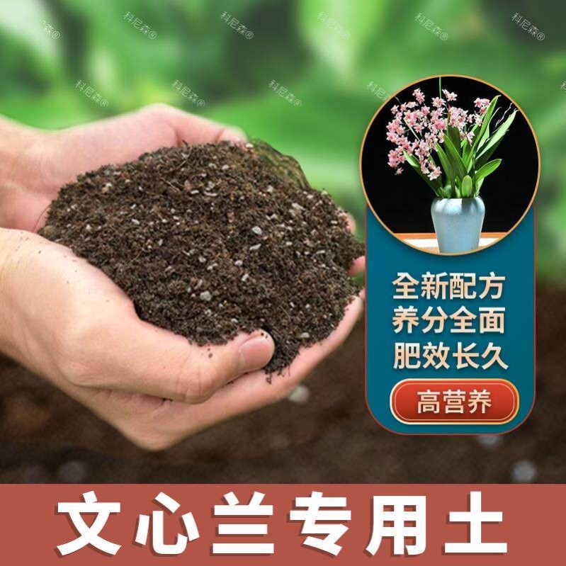 文心兰专用土肥料文心兰营养土花盆家庭种植蓬松种花养花绿植泥土