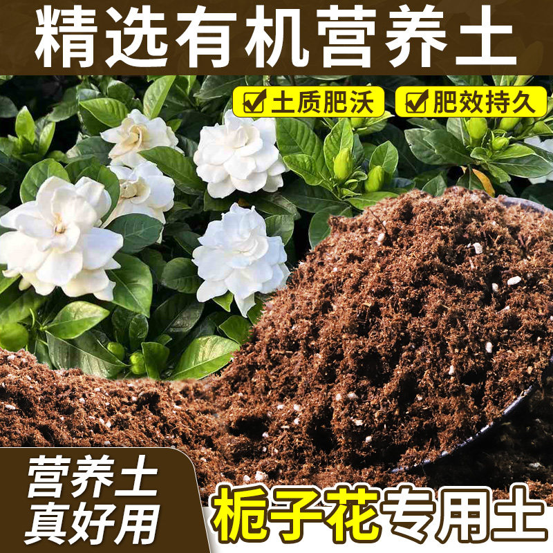 栀子花适用泥炭土盆景植料体验小包装家庭花圃体验款地栽适用月季
