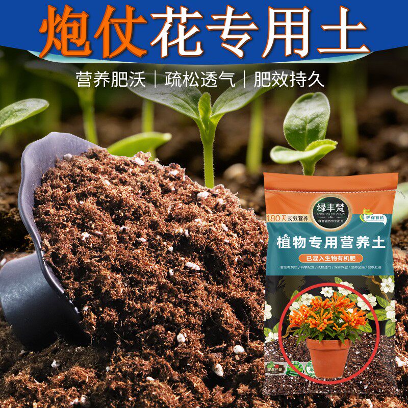 炮仗花适用种植土持水性好营养土性质稳定提升排水开袋即用多肉
