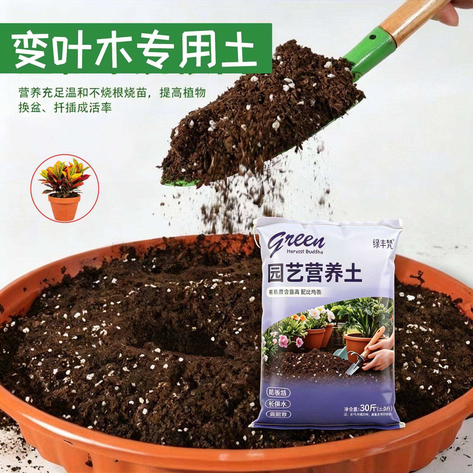 变叶木适用腐叶土高温灭菌室内包邮优质促生长喜酸家庭园艺花园