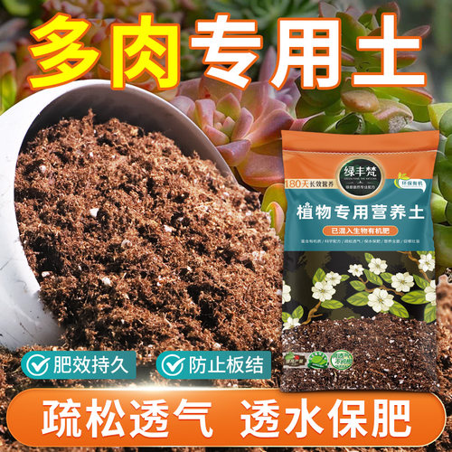 多肉专用育苗土无尘处理高压嫁接盆栽土安全可靠绿叶大包装观叶