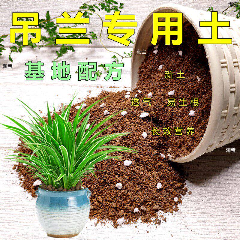 吊兰专用土金边青叶兰花种植土养花通用型培植土弱酸性易生根新土