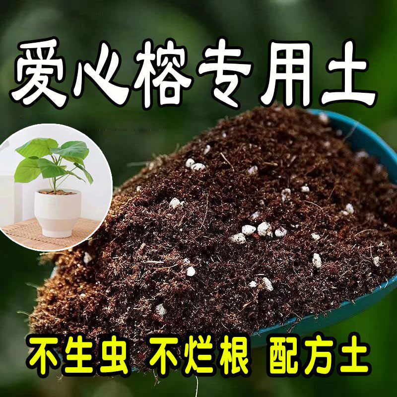 爱心榕专用营养土 爱心榕专用土 通用种花养花种植土壤有机土盆栽
