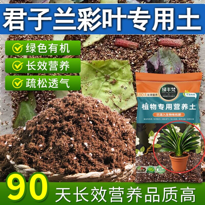 君子兰彩叶适用基质不易板结盆栽土精配原料防黄叶开袋即用观叶