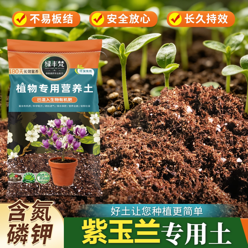 紫玉兰适用有机基质筛分除杂绿植换盆绿植分盆绿植适用育苗培植