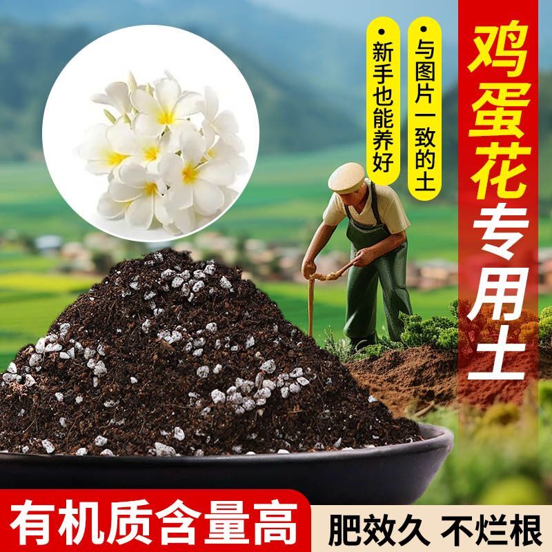 鸡蛋花天然腐殖泥炭土无菌干净高温腐熟园艺包邮扦插盆景专用土