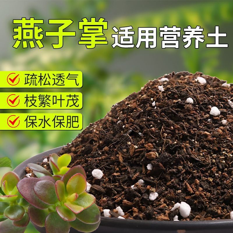 【燕子掌专用土】疏松透气盆栽绿植专用室内植物有机营养土肥料