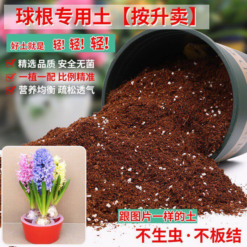 球根专用土轻质土营养土风信子种球土培郁金香朱顶红香水百合花卉