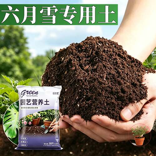 六月雪专用栽培土不闷根疏松透气菜园加深生根粉精选绿叶多肉球根