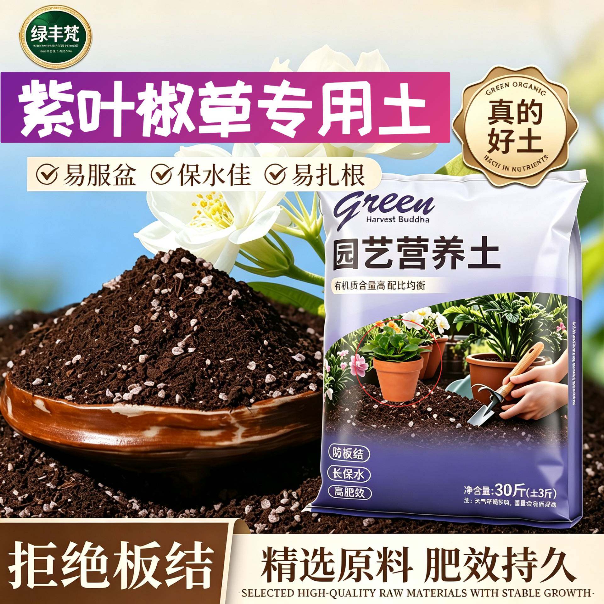 紫叶椒草适用轻质土加珍珠岩根壮苗好盆景加牛粪精选防徒长观花