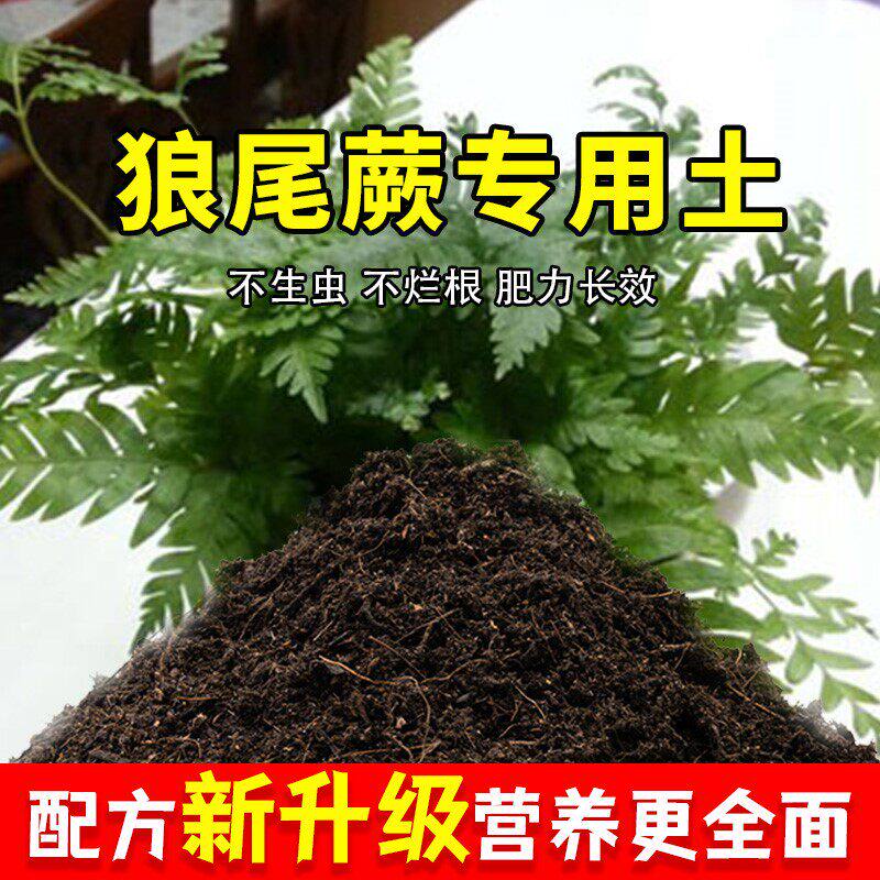 狼尾蕨专用土狼尾蕨营养土肥料家庭种花盆栽土养花有机土壤种植土