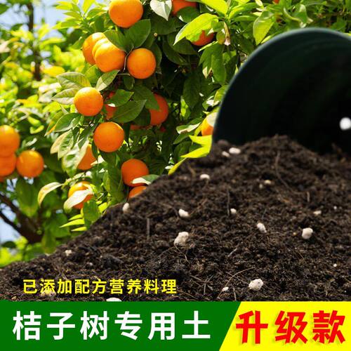 桔子树专用土桔子盆栽山桔东风桔营养土庭院果树营养土酸性肥料土