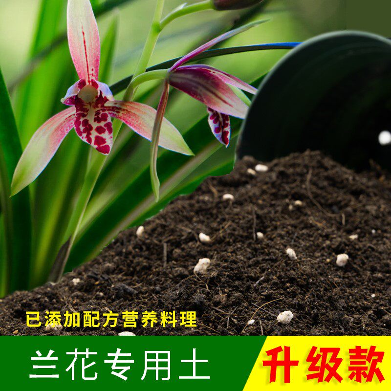 兰花专用土优质园艺盆栽弱酸性营养土绿植专用兰花土有机泥炭土肥
