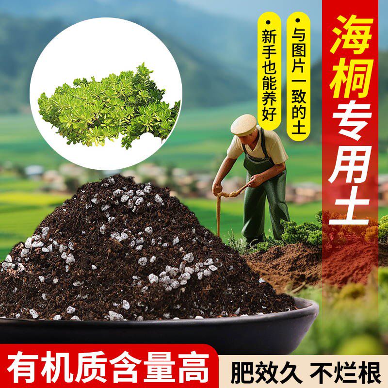 海桐专用营养土疏松透气含泥炭肥料通用有机种植土适用土轻质土壤