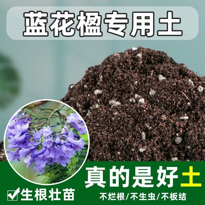 蓝花楹专用土酸性腐殖土盆栽种植腐叶土壤沙性花泥通用营养土花肥