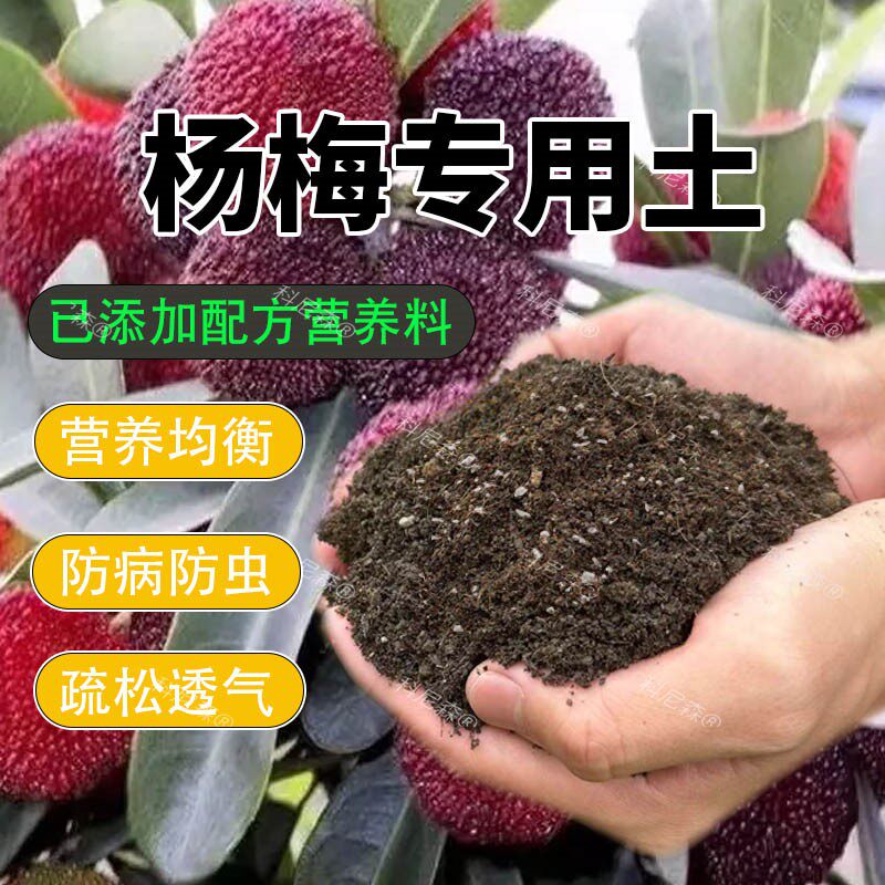 杨梅树专用土杨梅营养土酸性土壤专用肥盆景土盆栽地栽果树种植土