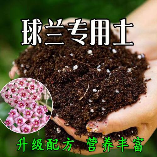 球兰专用营养土球兰种植土壤室内种花养花土育苗土盆栽花卉土肥料