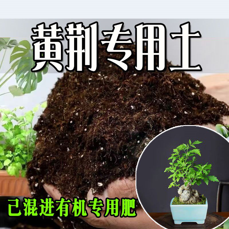 黄荆专用土 黄荆专用营养土 盆栽养花种花土通用种植土壤有机肥料