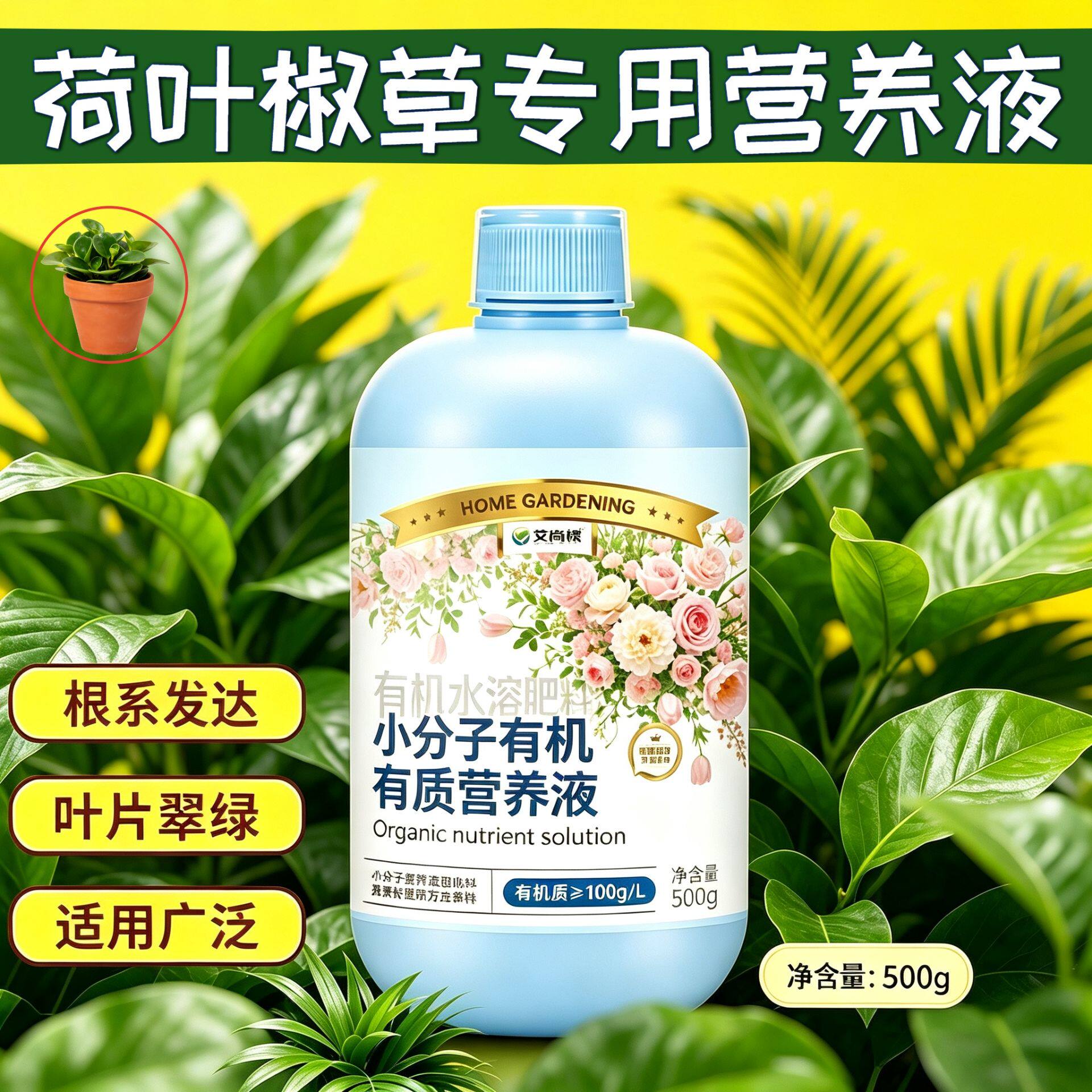 荷叶椒草适用浓缩型营养液叶绿花艳园艺兑水即用专用快速吸收盆栽