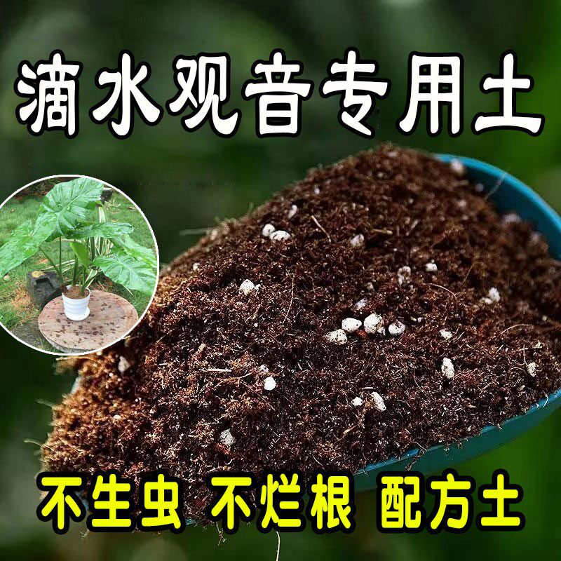 滴水观音专用营养土 滴水观音专用土 花土种花养花种植土壤通用