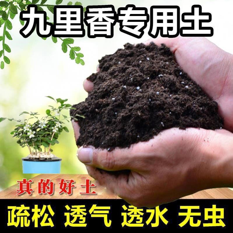 九里香专用土九里香土盆栽盆景营养土酸性沙质土壤绿植种植土肥料