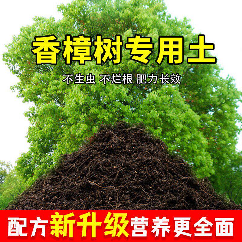 香樟树专用土农业果园种植土香樟树营养土家庭果树有机土壤盆栽土