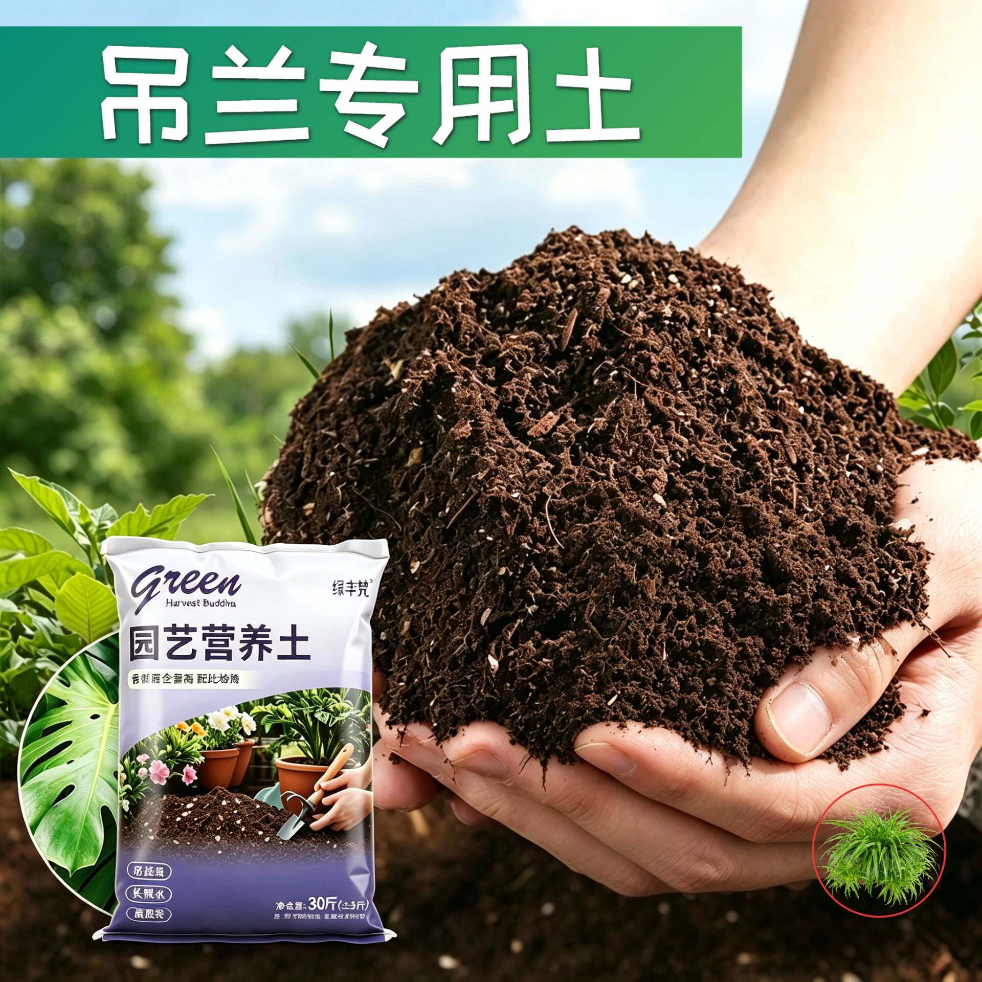 吊兰适用进口泥炭土疏松透气保水保肥盆栽加深生根粉精选壮根木本