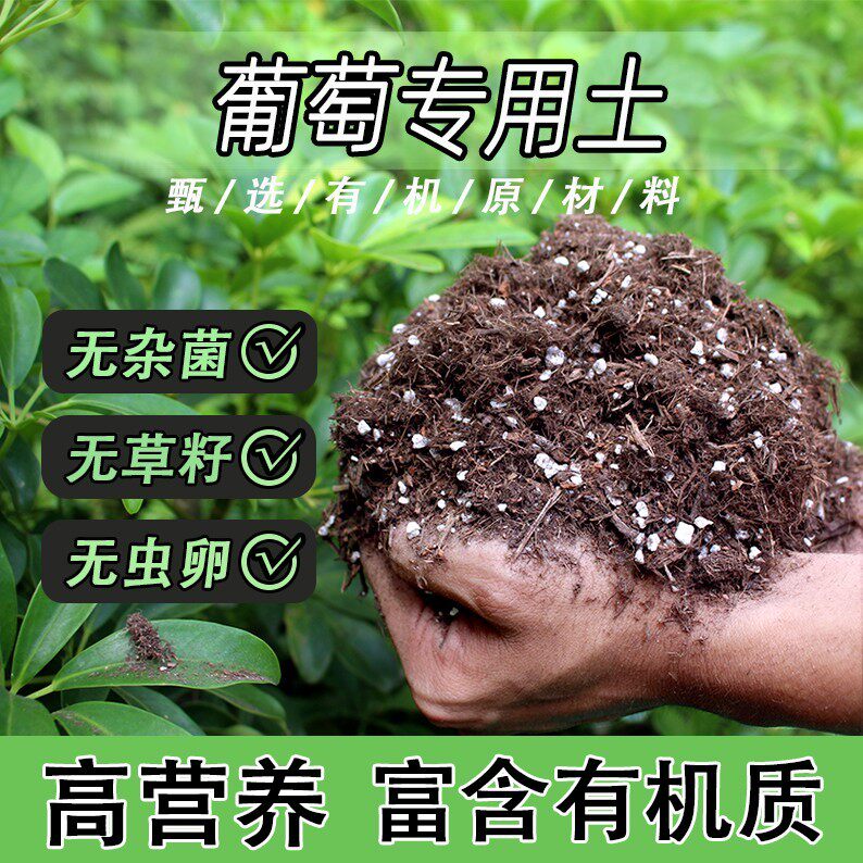 葡萄专用土家用盆栽绿植通用营养土养花轻质蓬松有机花泥肥料土壤