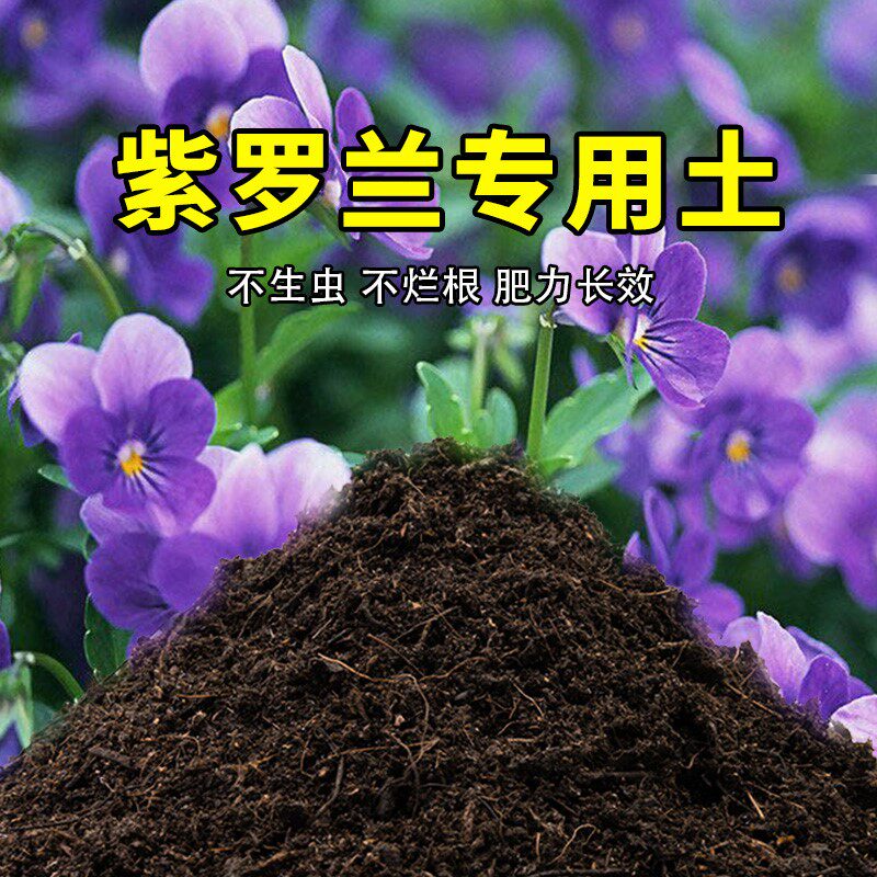 紫罗兰专用土紫罗兰营养土肥料家庭种花盆栽土养花有机土壤种植土