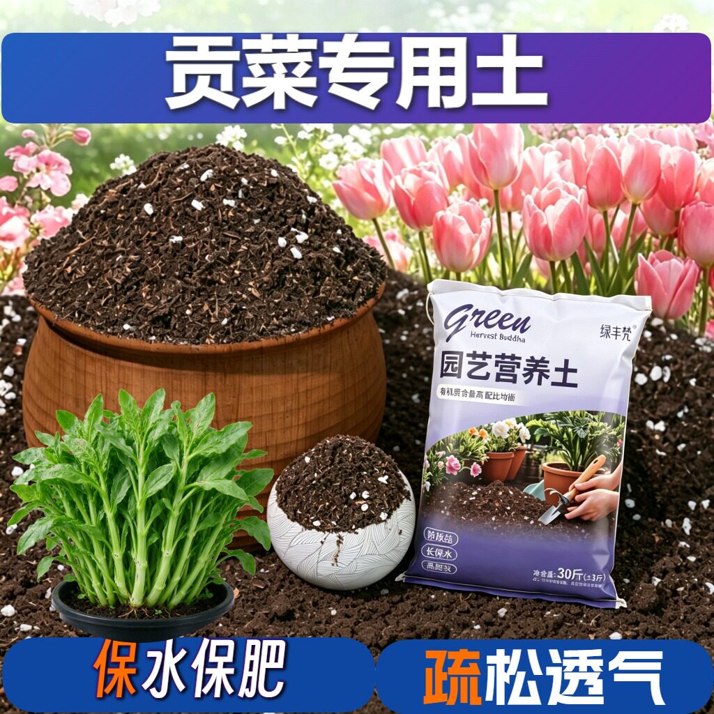 贡菜适用种菜土不烂根高温腐熟扦插加牛粪优质防黄叶球根观花绿叶