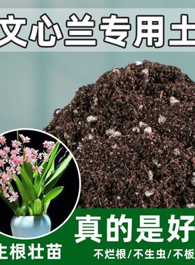 文心兰专用土养花土壤通用型营养土种花种植土家用有机盆栽花泥