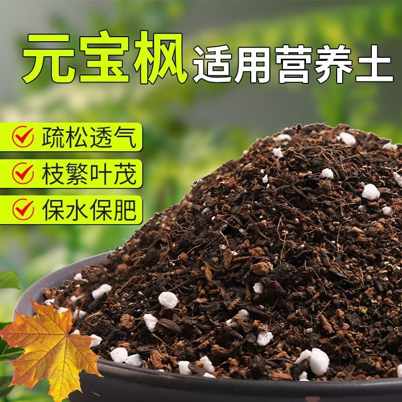 【元宝枫专用土】疏松透气盆栽绿植专用室内植物有机营养土肥料