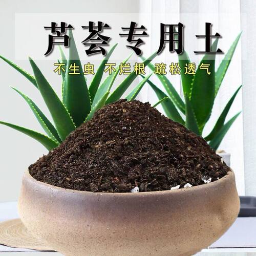 芦荟专用土芦荟土种植土盆栽营养土花泥土壤配方培养土有机土肥料