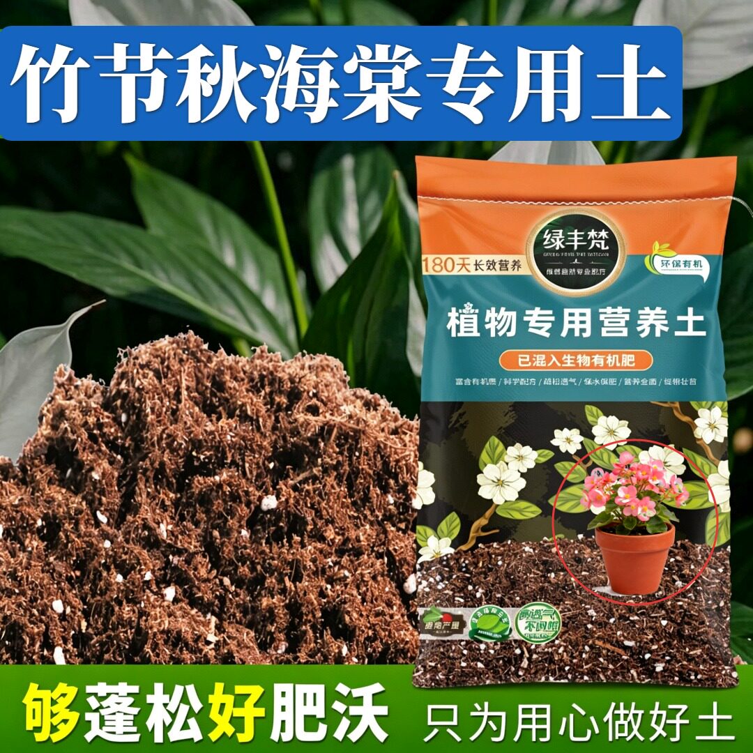 竹节秋海棠专用配方土天然原料花卉盆栽土无菌促进透气大包装观叶