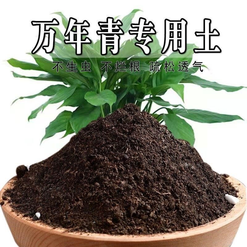 万年青专用土万年青专用营养土盆栽土养花种花土通用种植土壤肥料