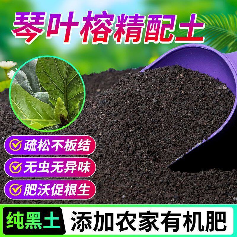 琴叶榕有机营养土养花种菜专用土轻质土农家肥土疏松