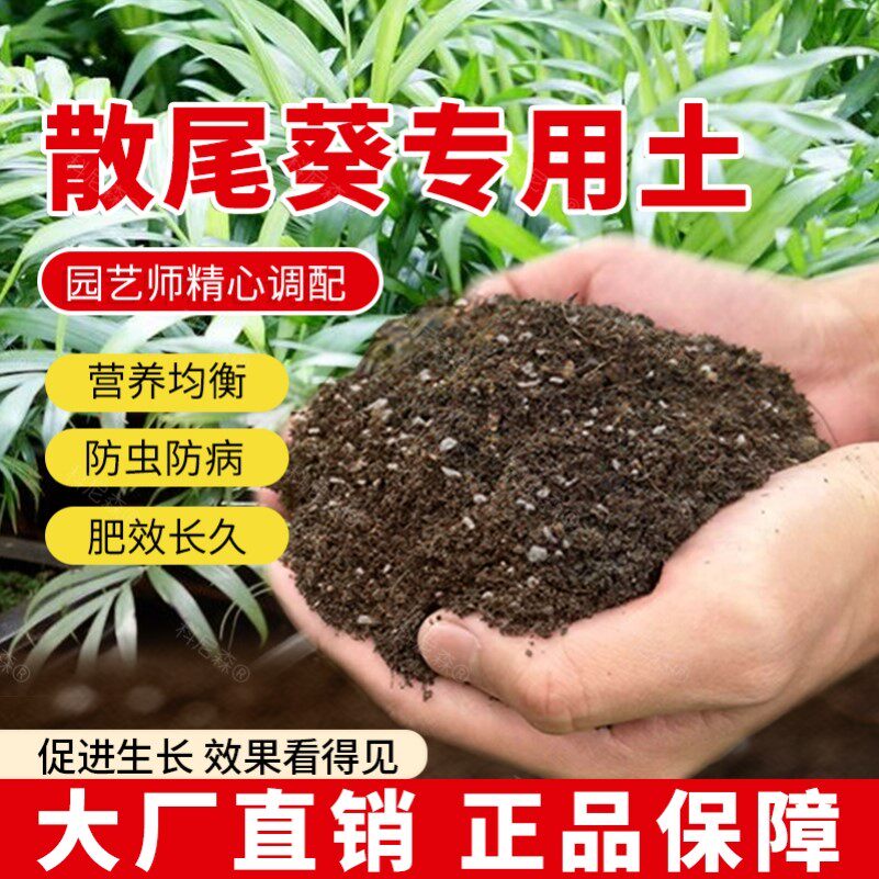散尾葵专用土肥料天然阳台透气黑土育苗花土室内袖珍椰子营养土