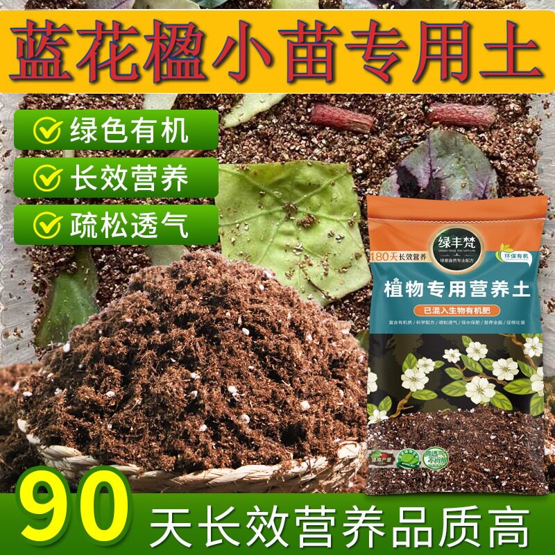 蓝花楹小苗适用轻质基质土种植土经久耐用平衡土质试用装喜酸