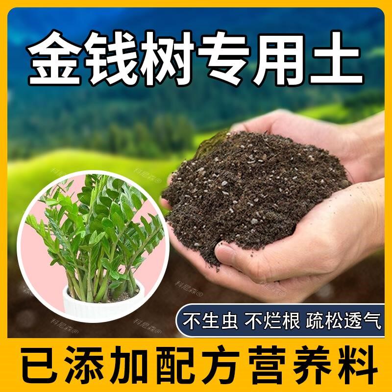 金钱树专用土天然花草种植家庭绿植金钱树专用肥料种花有机土阳台